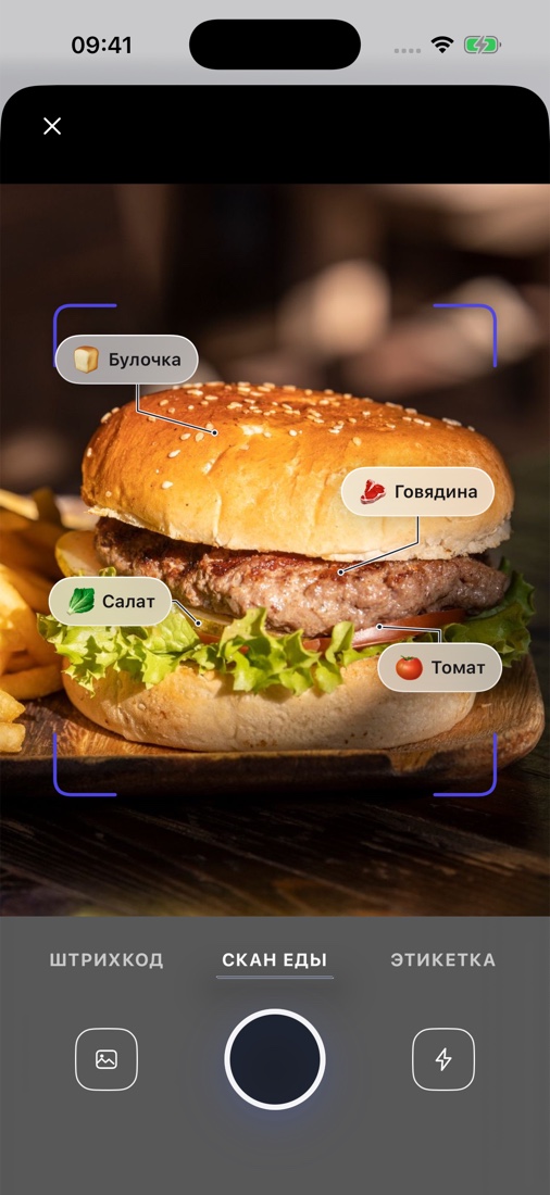 Камера MacroUp с примером распознавания блюда
